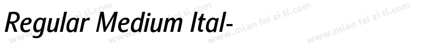 Regular Medium Ital字体转换